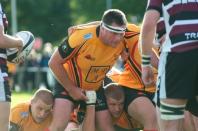 Sheffield Tigers v Bees