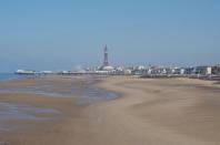 Fylde v Bees