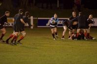 Macclesfield v Bees