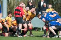 Bees v Otley