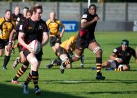 Bees v Esher