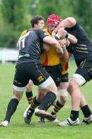 Esher v Bees (po)