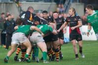 wharfedale v bees
