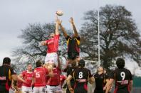 Bees v London Welsh