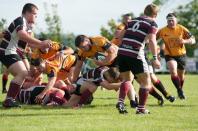 Sheffield Tigers v Bees