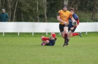 Bees v Westoe