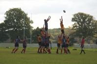 Bees v Westoe