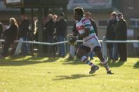 Stockport v Bees