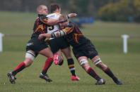 Caldy v Bees