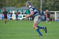 Tynedale v Bees