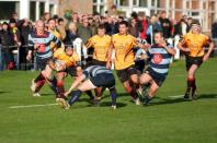 Dudley K v Bees