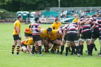 Cornish Pirates v Bees