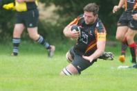 Bees v Dings Crusaders