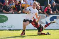 jersey v bees