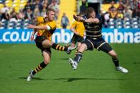 Worcester v Bees