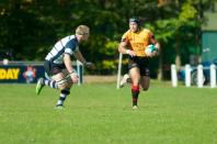 Preston v Bees