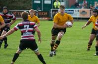 Cornish Pirates v Bees