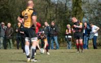 Bees v Luctonians