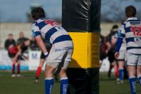 Bees v Tynedale