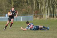 Bees v Dudley K