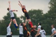 Bees v Darlington MP