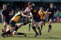 Bees v Esher (po)