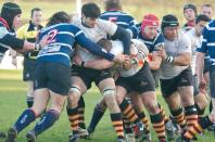 Stourbridge v Bees