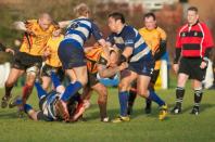 Darlington v Bees