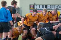 Hull v Bees