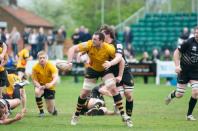 Esher v Bees (po)