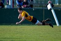 Moseley v Bees (po)