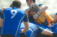 Bees v Otley
