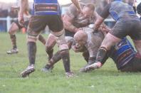 Cinderford v Bees