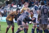 Stourbridge v Bees