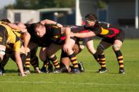 Bees v Esher
