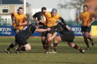 Hull v Bees