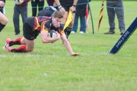 Bees v Dings Crusaders