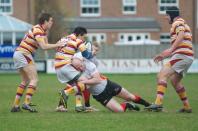 Fylde v Bees