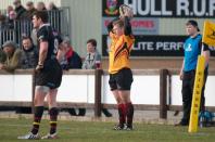 Hull v Bees
