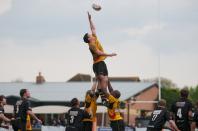 Esher v Bees (po)