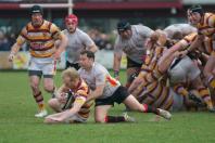 Fylde v Bees