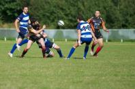 Bees v Darlington MP