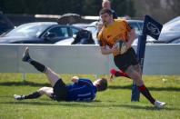 Bees v Otley