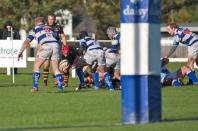 Tynedale v Bees