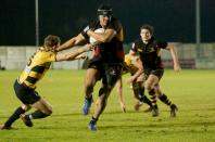 Bees v cornish pirates