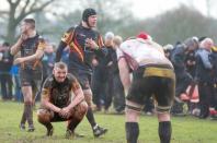 Bees v Sheffield