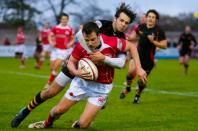 Bees v London Welsh