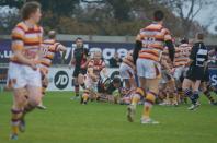 Bees v Fylde