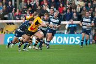 Bristol v Bees