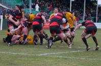 Moseley v Bees